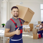 Home 12 best movers packers dubai | 1 bhk apartment moving services in dubai