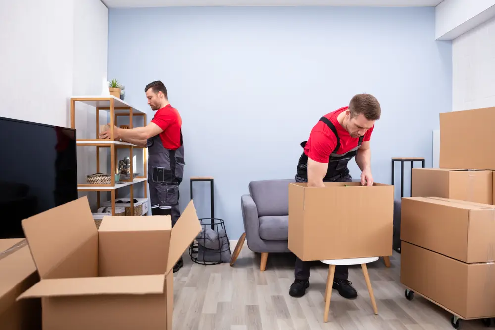 professional packing by experts for best house movers and packers in dubai | Movers and packers in international city, dubai